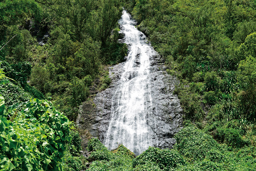Cascade salazie 101