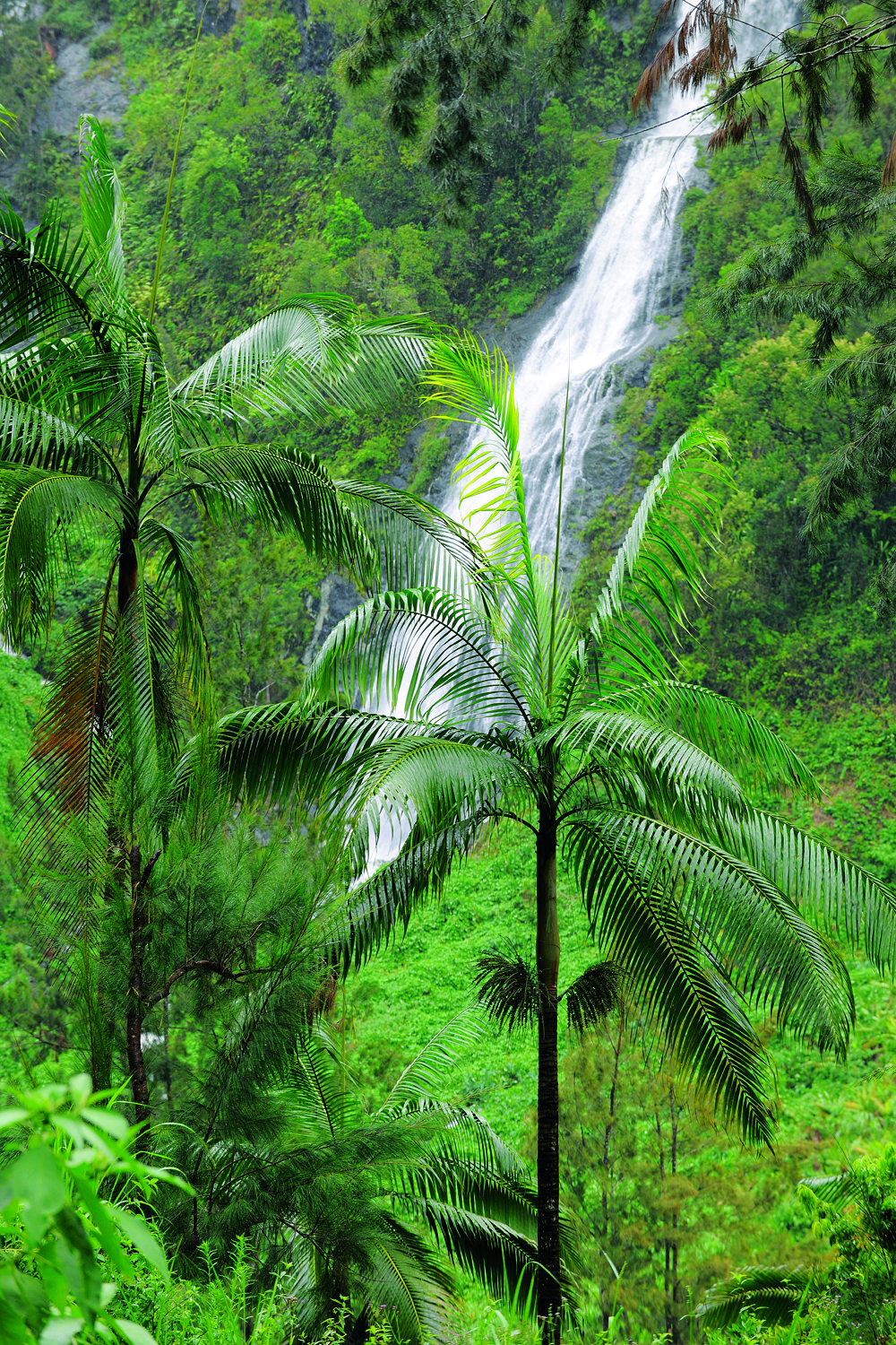 Cascade salazie 121