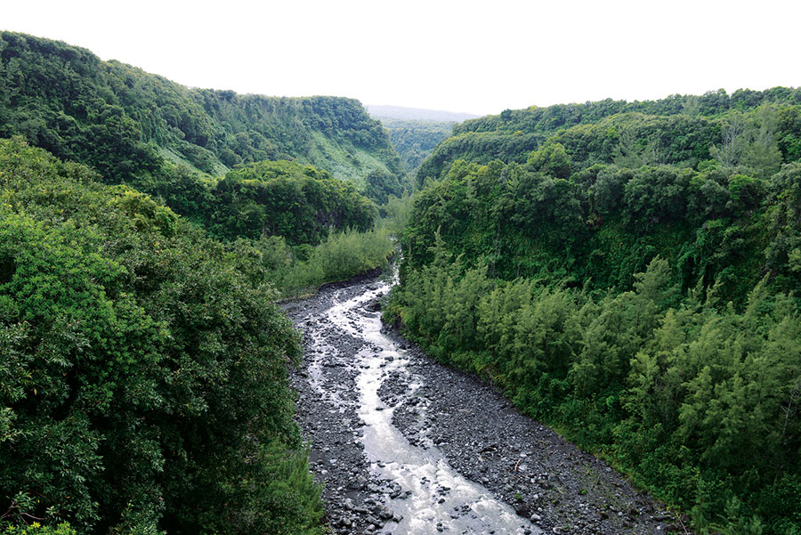 Est / Rivière de l'est 102