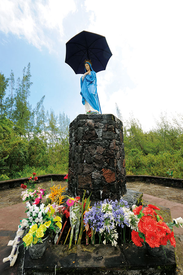 Est / Vierge Parasol 100