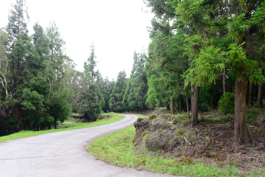 Montagnes 110