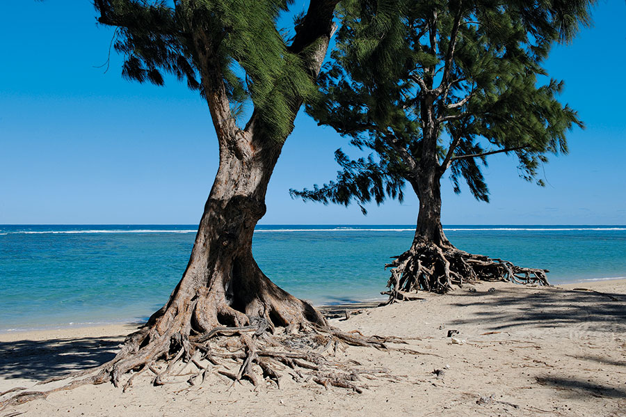 Ouest / Lagon 105