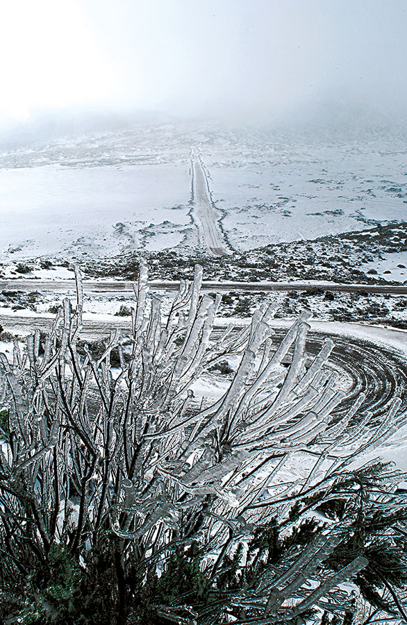 Piton de la fournaise 109