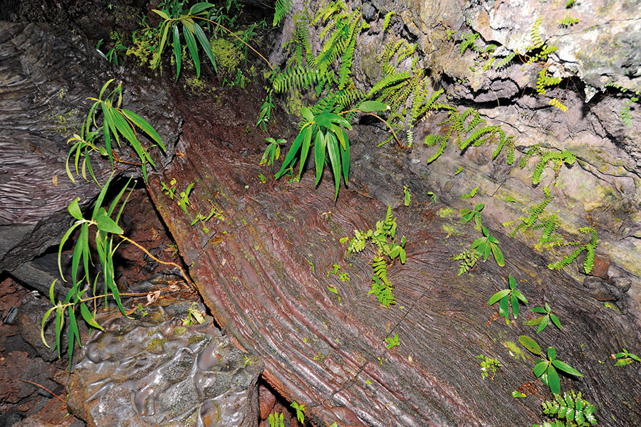 Tunnel de lave 116