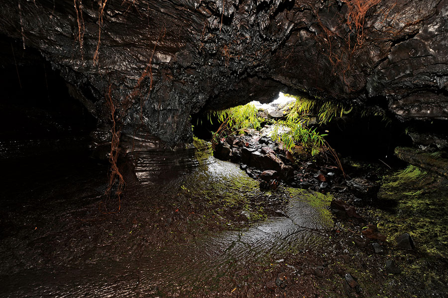 Tunnel de lave 115