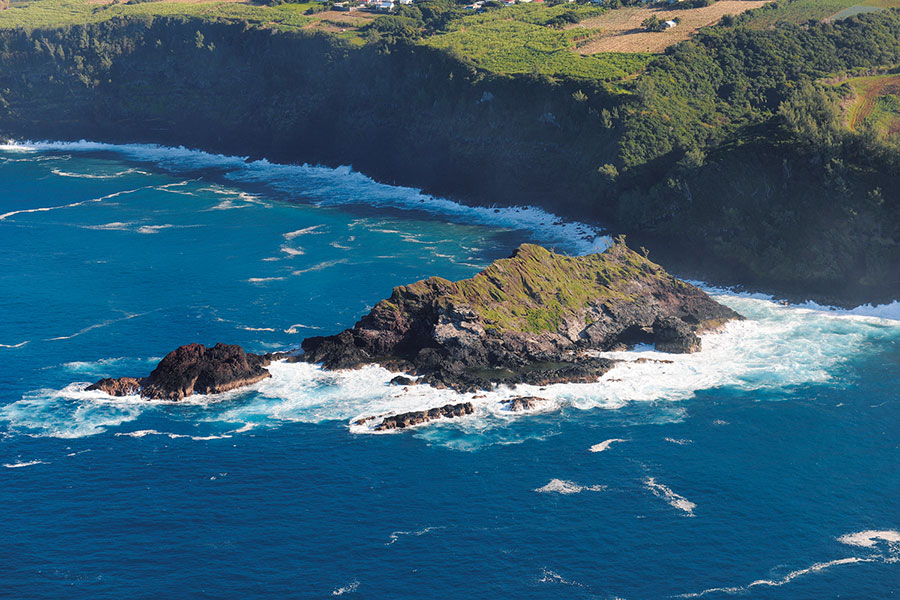 Sud petite ile 100