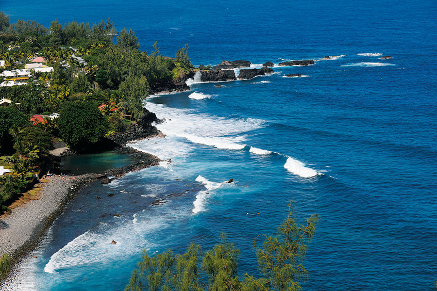 Sud sauvage 121