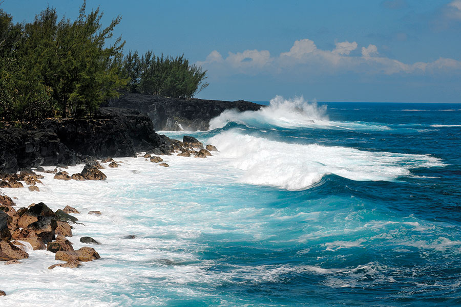 Sud sauvage 109