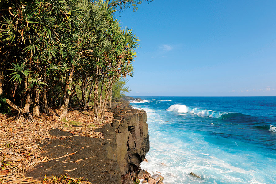 Sud sauvage 107