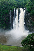 Cascade niagara 122