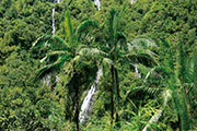 Cascade salazie 108