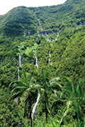 Cascade salazie 116
