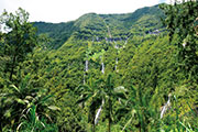 Cascade salazie 103