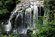 Cascade bassin boeuf 100