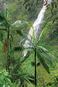 Cascade salazie 121