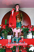 Com. Catholique 116