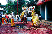 Com. chinoise 100