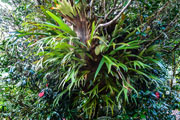 Faune / Flore 102