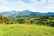 Plaine des cafres 106