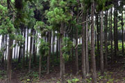Montagnes 104