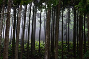 Montagnes 113