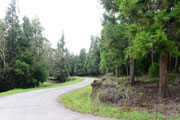 Montagnes 110