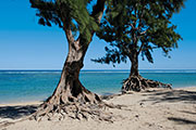 Ouest / Lagon 105