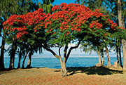 Ouest / Lagon 101