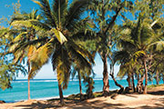 Ouest / Lagon 107