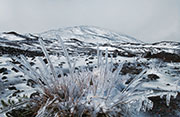 Volcan neige 115