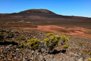 Plaine des sables 125