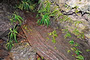 Tunnel de lave 116