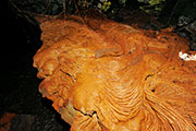 Tunnel de lave 117