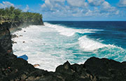 Sud sauvage 110