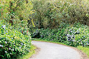 Sud foret tevelave 101