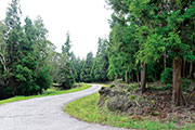 Sud foret tevelave 104