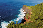 Sud sauvage 113