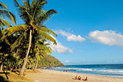Sud grand anse 100