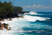 Sud sauvage 109