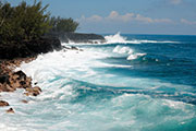 Sud sauvage 104