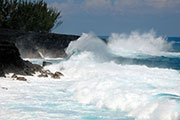 Sud sauvage 108