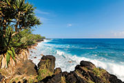 Sud sauvage 105
