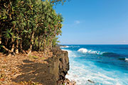 Sud sauvage 107