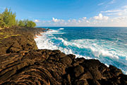 Sud sauvage 102