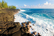 Sud sauvage 103