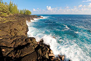 Sud sauvage 106