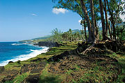 Sud sauvage 112