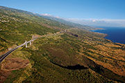   Route des Tamarins 120